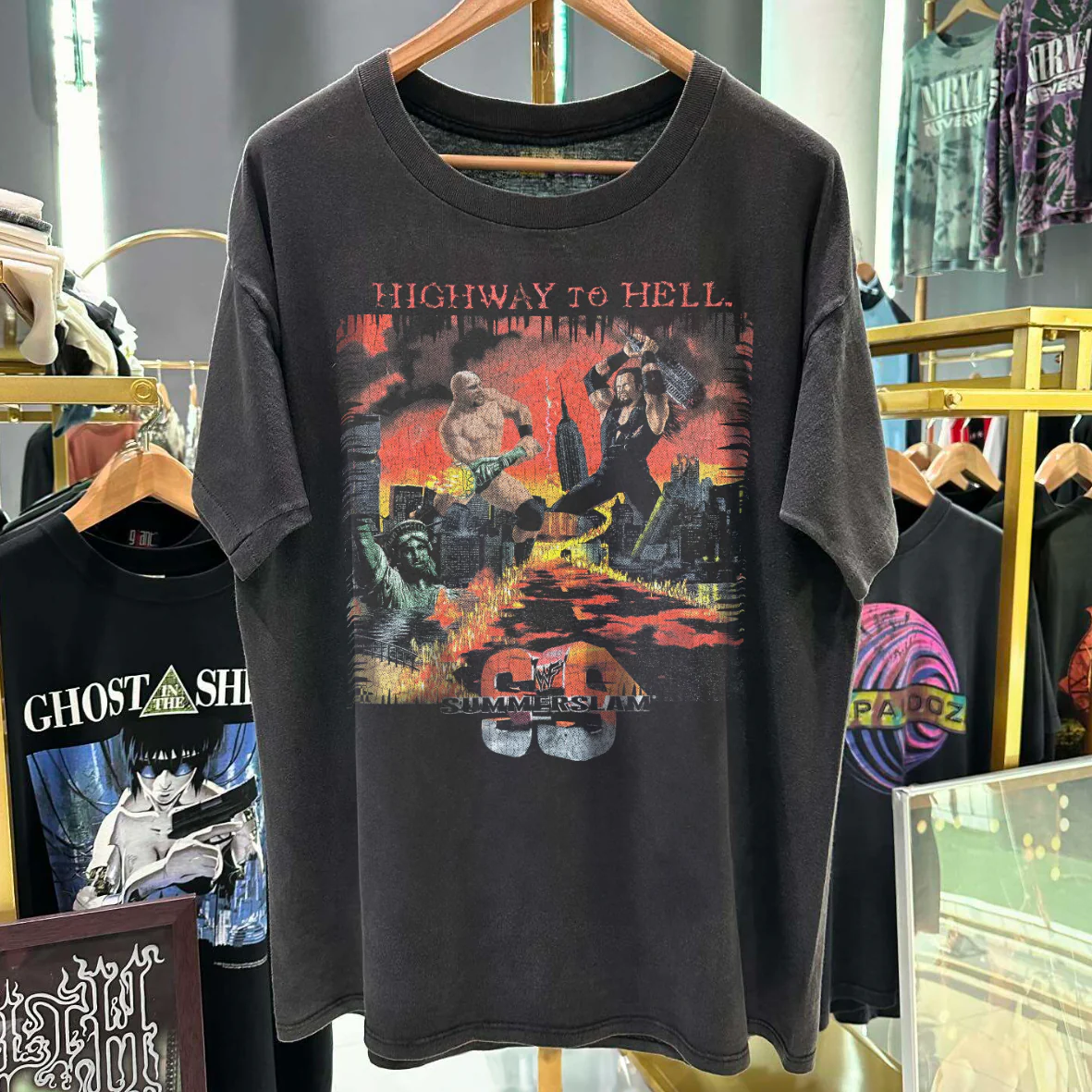 Highway To Hell 1998 Summerslam Stone Cold X Undertaker Vintage Washed T-Shirt