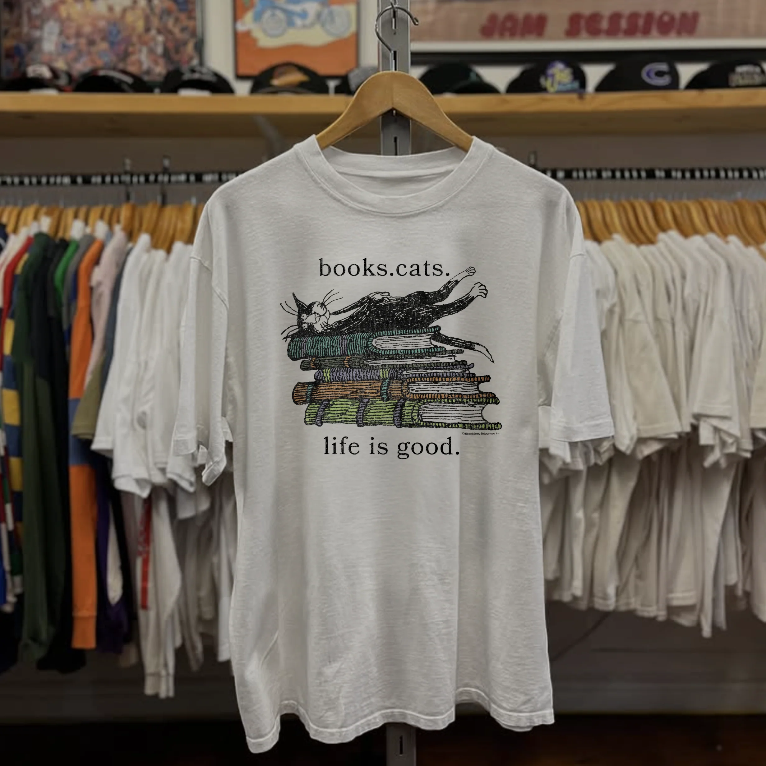 Rare Edward Gorey Books Cats Washed White Tee